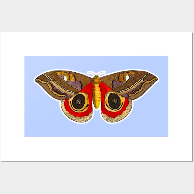 Butterfly Moth illustrated Wall Art by Marccelus